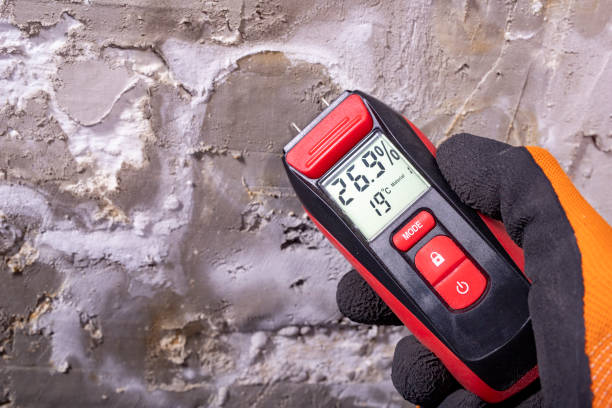 Best Commercial Mold Removal  in Cairo, NE